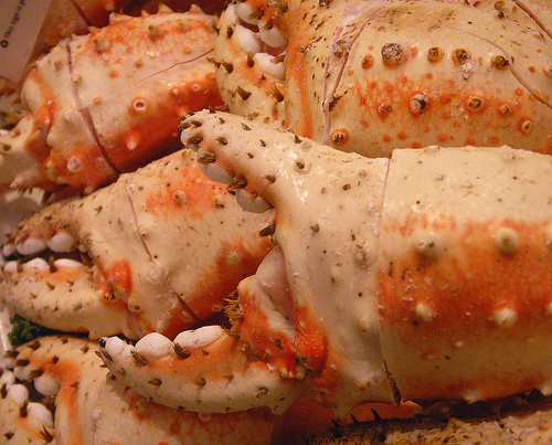 Crab Mousse - Delicious Crab Starters